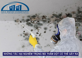 NHỮNG TÁC HẠI NGHIÊM TRỌNG MÀ THẤM DỘT GÂY RA CHO NGÔI NHÀ BẠN