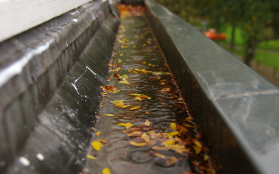 Báo Giá Dịch Vụ Chống Thấm Sê Nô Chuyên Nghiệp