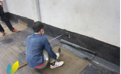 Báo Giá Dịch Vụ Chống Thấm Sê Nô Chuyên Nghiệp