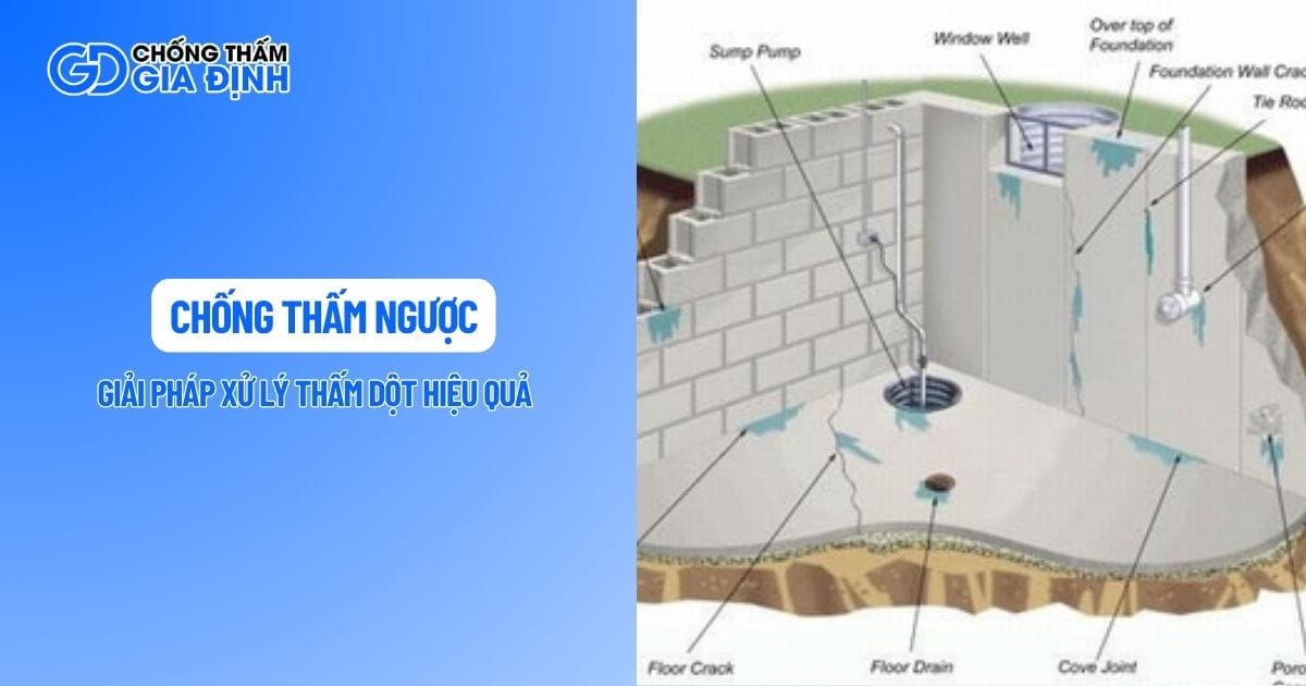 Chống thấm ngược là gì?